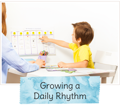 Growing a Daily Rhythm