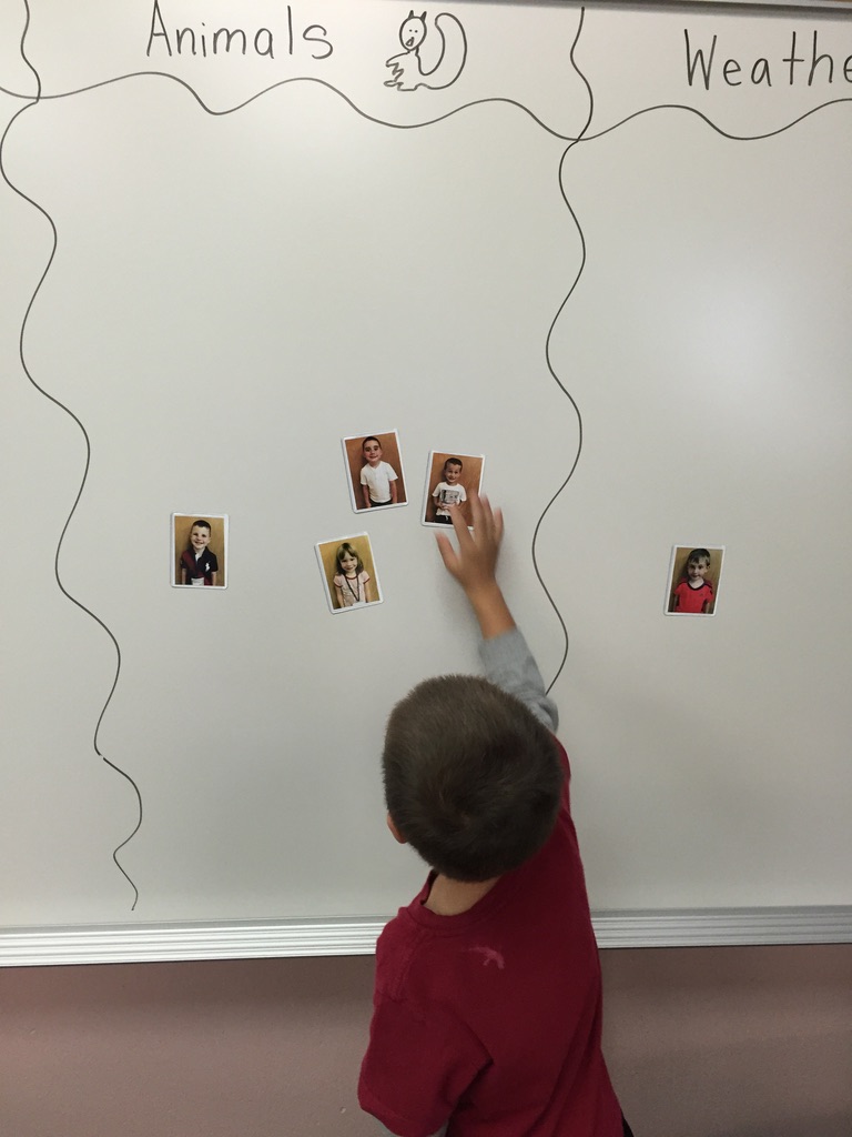 choosing research groups in kindergarten