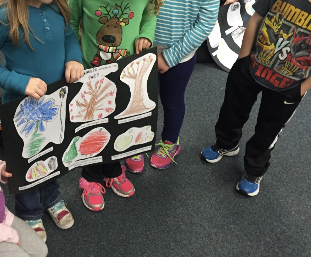 kindergarten presentation on fall inquiries