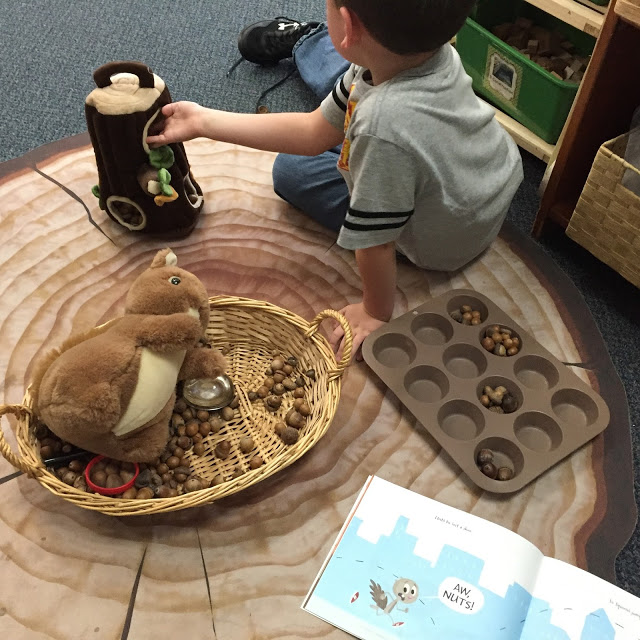 learning about animal adaptation through squirrels, deer, and fox in kindergarten 