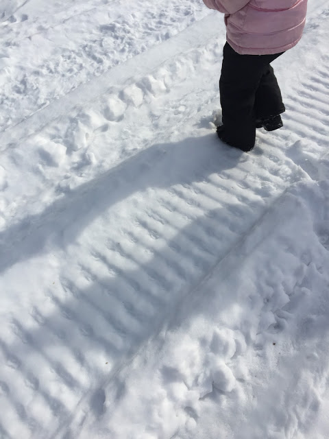 a kindergarten class exploring winter tracks in the snow
