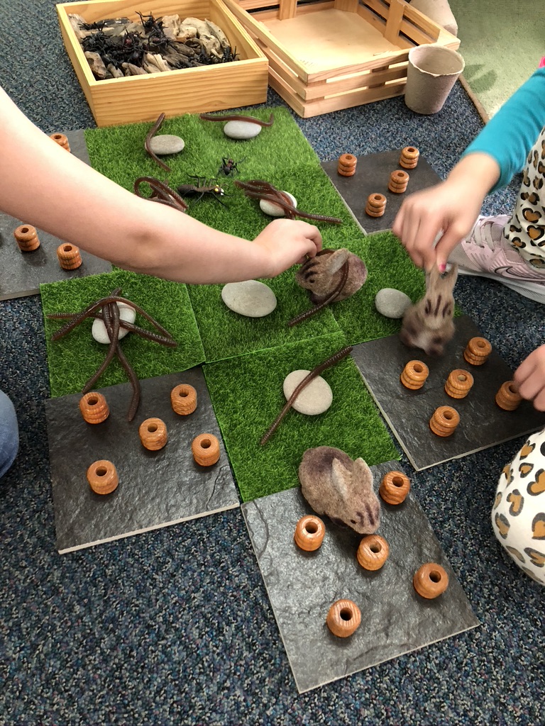 animal research projects - creating habitats in block center