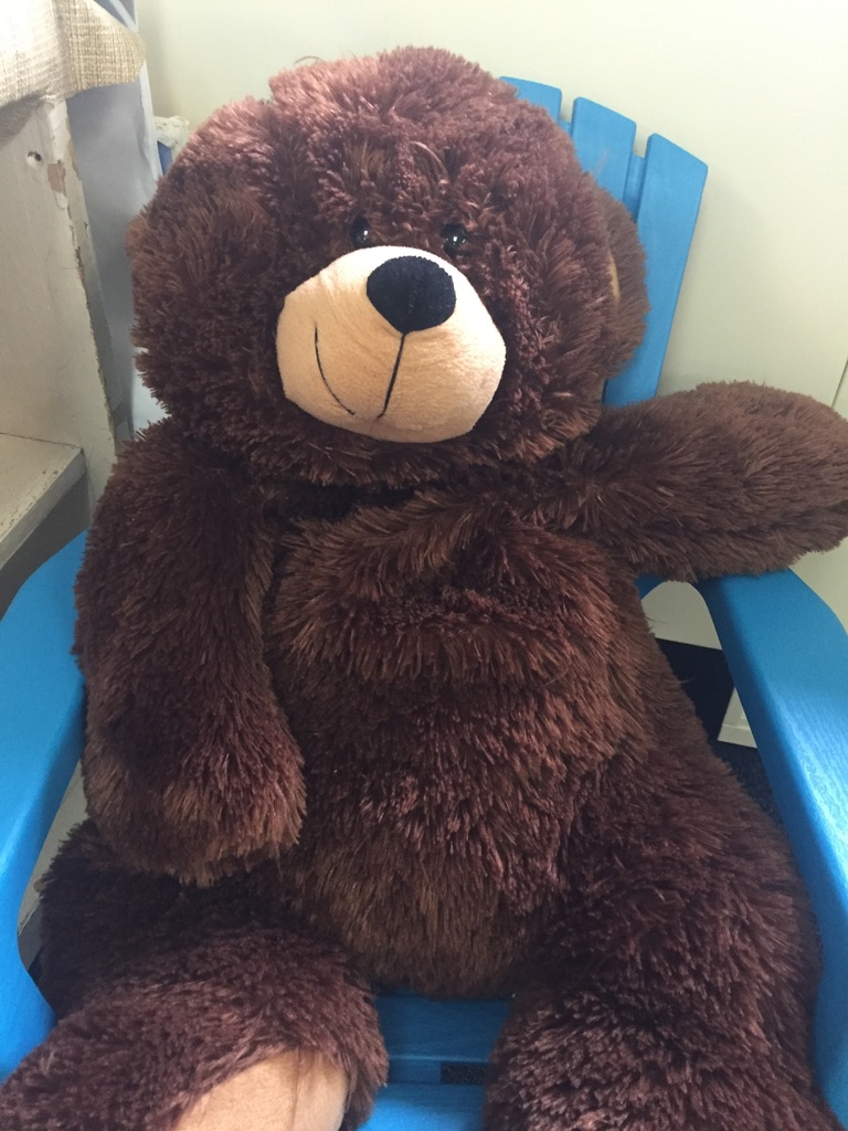 Use a stuffed bear to model procedures