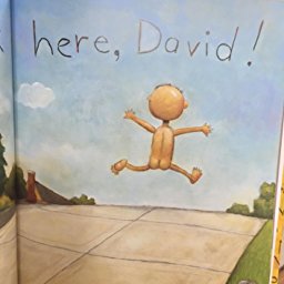 No David book by David Shannon