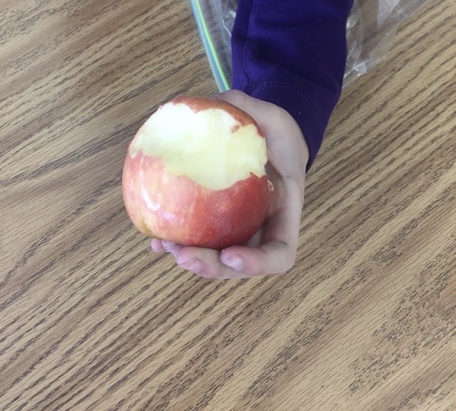 teaching-part-part-whole-with-food