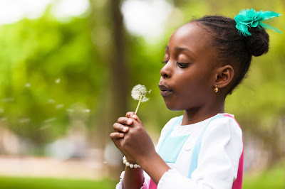 dandelion activities for preschool or kindergarten