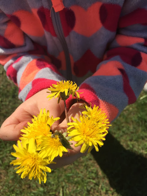 dandelion day activities 