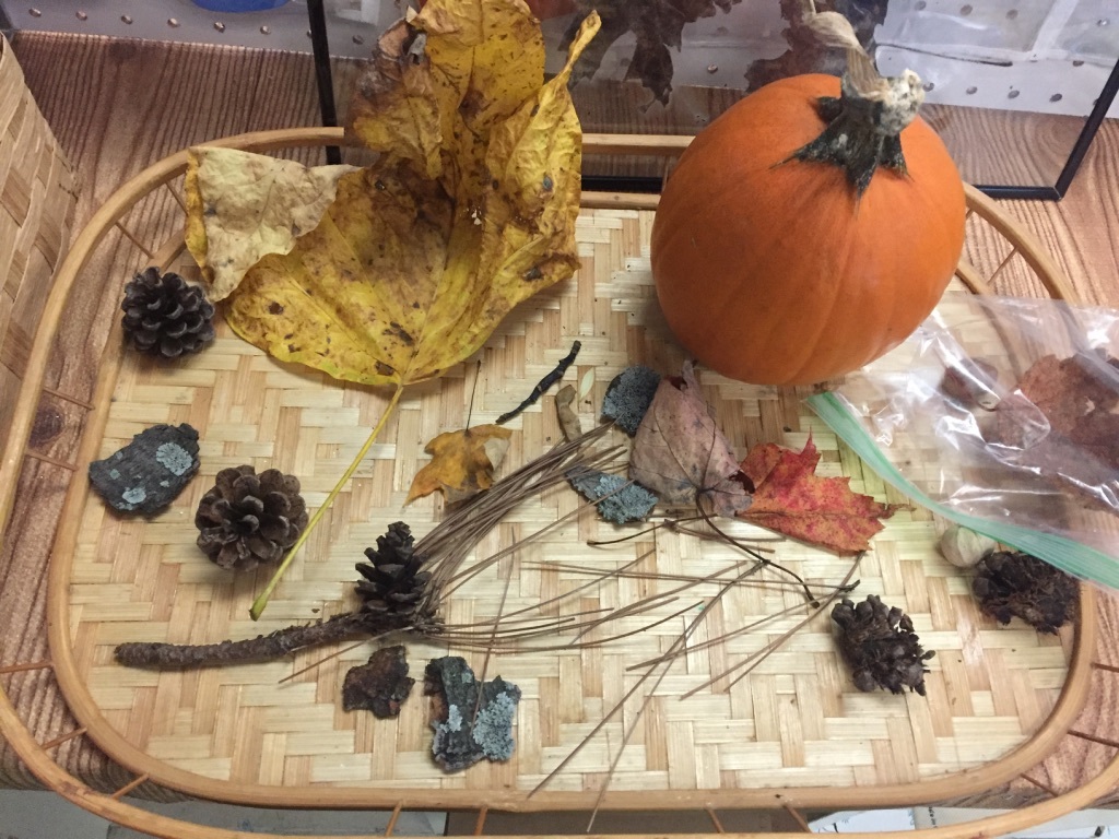 fall nature table tray