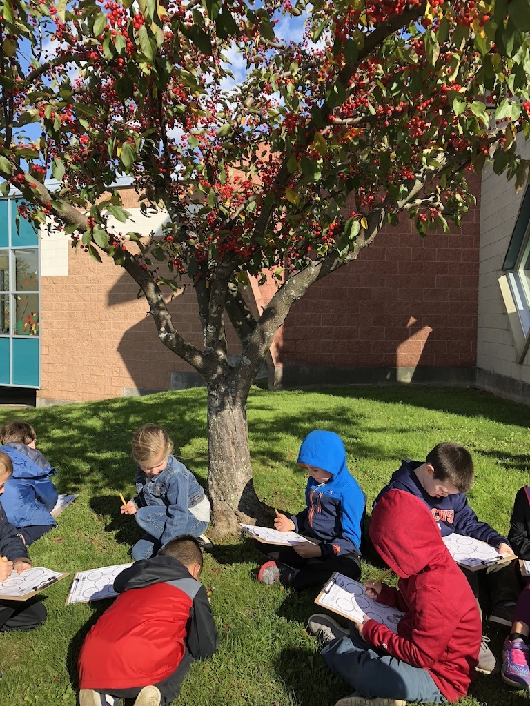 fall nature walk observations