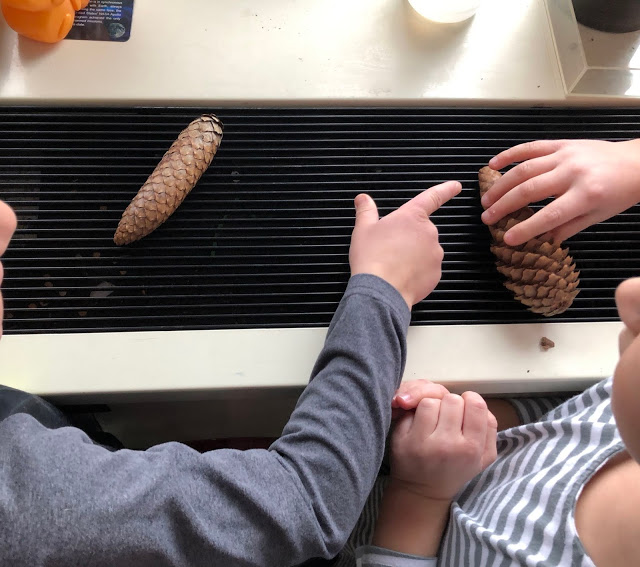 winter themed center 1: pine cone bird feeders 