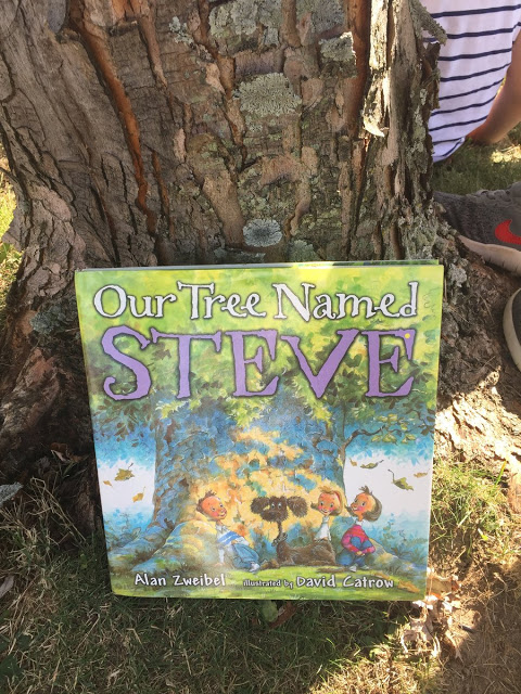 Book Picnic: Read Across America ideas and activities