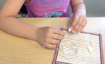 Welcome Spring - Planting Bean Seeds