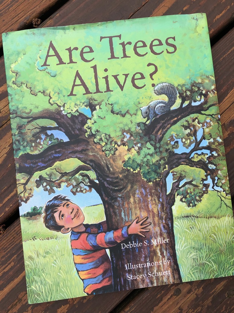 Tree Inquiry Exploring the Question, "Are Trees Alive?"