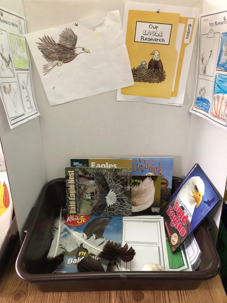 Set up a research tub as a morning work option