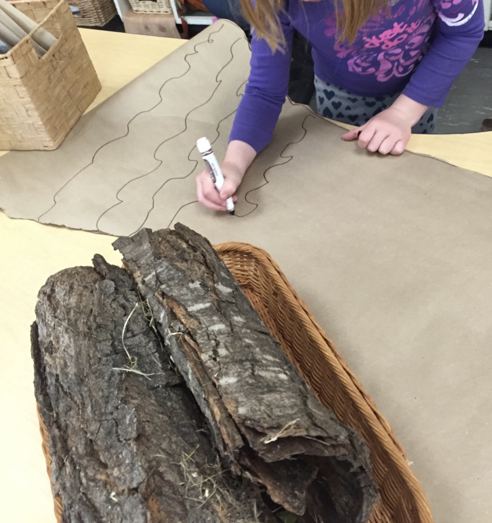 Tree Inquiry Exploring the Question, "Are Trees Alive?"