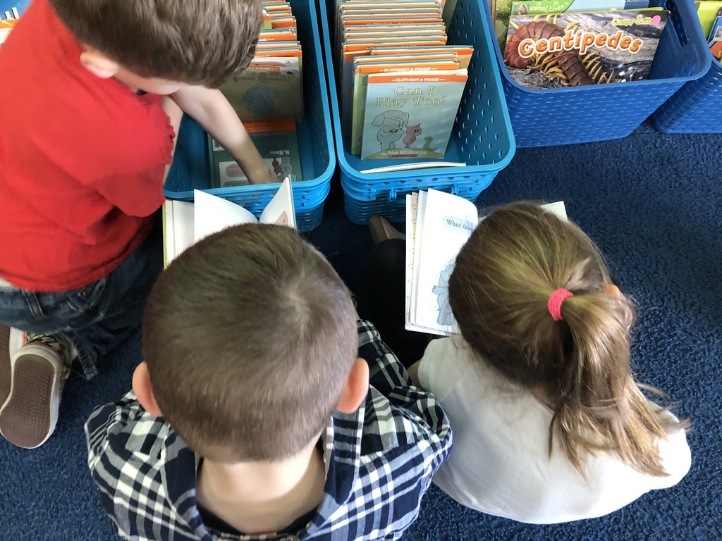 Kindergarten kids during reading workshop in kindergarten