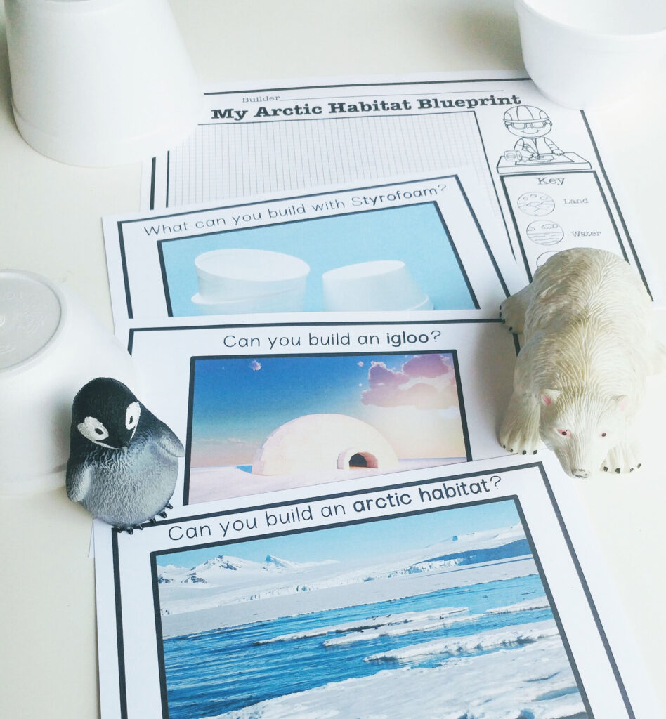 block and construction Arctic challenges for play and learning