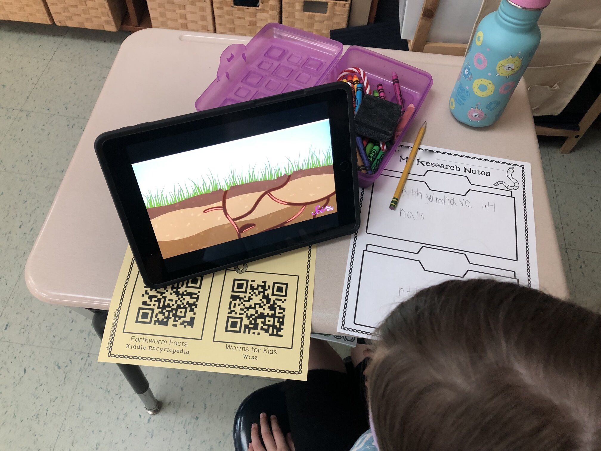 researching worms in kindergarten