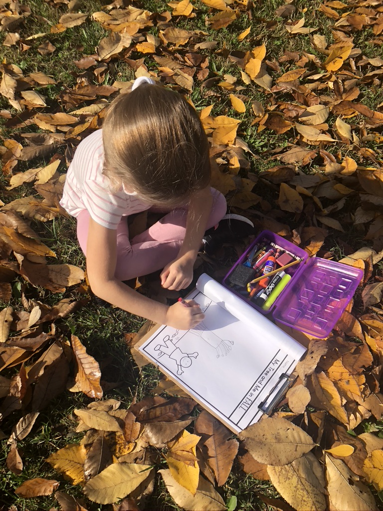 seasonal activities - adopting a class tree